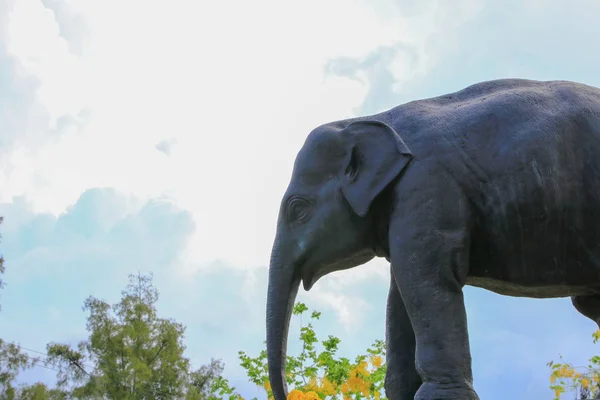 タイの寺院の公共の公園で象の像 — ストック写真