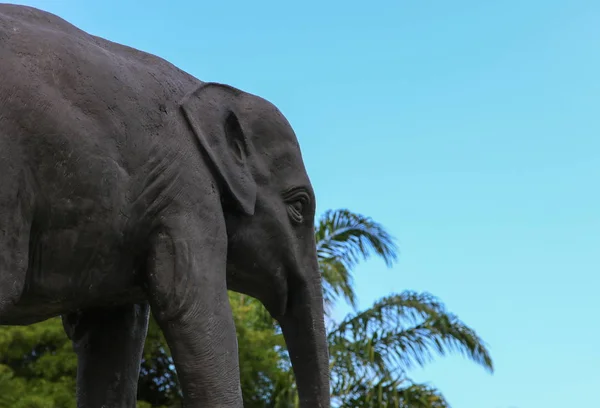 Estatuas Elefante Parque Público Templo Tailandés — Foto de Stock