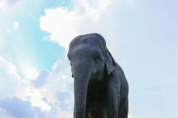 Sloní Sochy Thajském Chrámu Veřejný Park — Stock fotografie