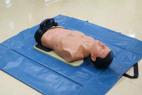 CPR dummy training for emergency refresher training to assist