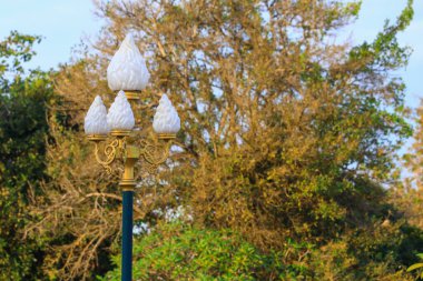 Sonbahar ağacında genel park lambası