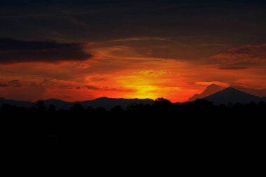 ağaç günbatımı güzel ve siluet dağ gökyüzü ormanlık renkli manzarada twilight saat