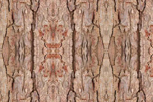 Wzór Tekstury Kory Drzewa Skórka Drewna Tle — Zdjęcie stockowe