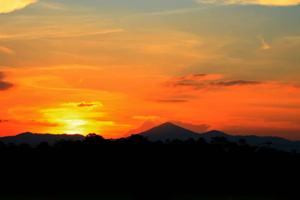 Zonsondergang Prachtige Silhouet Berg Boom Bos Kleurrijk Landschap Hemel Twilight — Stockfoto
