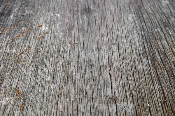 Dřevo Textury Starý Vzor Krásné Pozadí Makro Vybrat Zaměření Malou — Stock fotografie