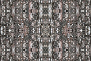 Ağaç kabuğu deseni. Arkaplan için ahşap kabuğu