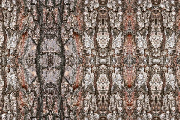 나무껍질의 배경을 — 스톡 사진