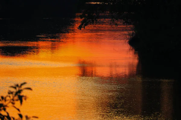 Speglar Floden Och Skugga Träd Vatten Vacker Solnedgång Natur — Stockfoto