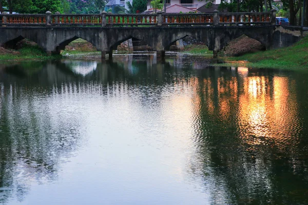 Reflexão Rio Sombra Árvore Água Belo Pôr Sol Natureza — Fotografia de Stock