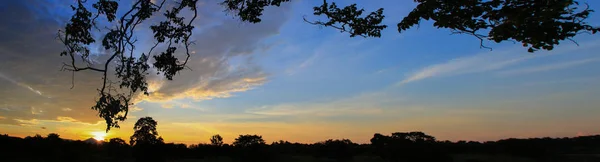 Panorama Günbatımı Güzel Renkli Manzara Siluet Ağaç Dağ Gökyüzünde Twilight — Stok fotoğraf