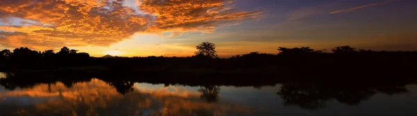 Panorama Sunset Vackra Färgstarka Landskap Och Siluett Träd Mountain River — Stockfoto