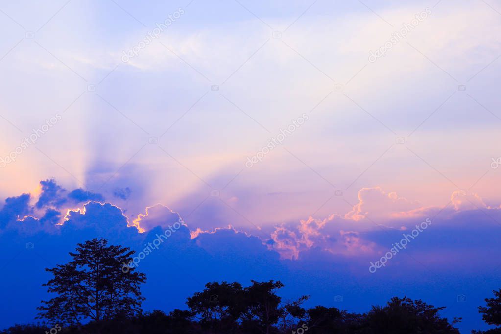 sunset beautiful in sky dark color and silhouette tree colorful landscape twilight time with copy space add text