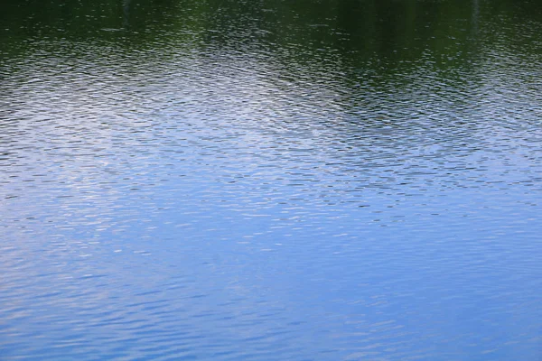 Відображення Води Тіньовим Деревом Небом Громадському Парку — стокове фото