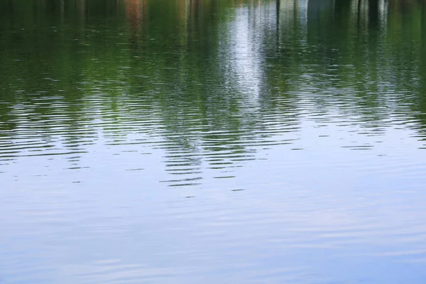 Woda Reflection Cień Drzewa Niebo Parku Publicznym — Zdjęcie stockowe