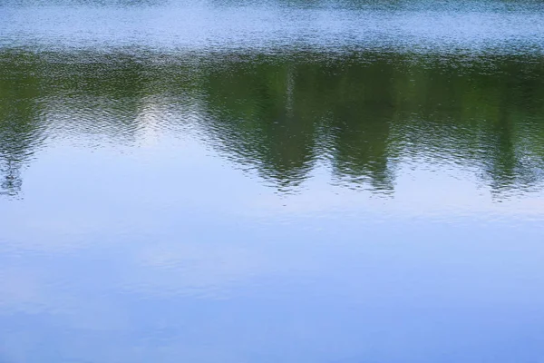 Reflet Eau Avec Arbre Ombre Ciel Dans Parc Public — Photo