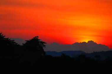 Cadılar Bayramı gün arka plan gökyüzü ve siluet ağacında gün batımı ile 