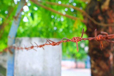 paslı dikenli tel kavramı asker Emanet sığınakta