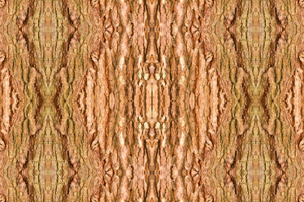 나무 껍질 타마린드 질감 디자인 완벽 한 패턴 — 스톡 사진