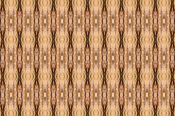 Wood shell tamarind texture design seamless pattern — Stock Photo, Image