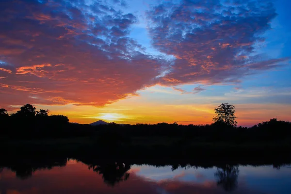 Sunset in sky beautiful colorful landscape silhouette tree — Stock Photo, Image