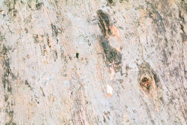 Struktur der Baumrinde. Holzschale für Hintergrund — Stockfoto