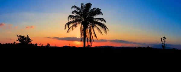 Панорамный вид силуэт кокосовое дерево в закате на небо красиво — стоковое фото