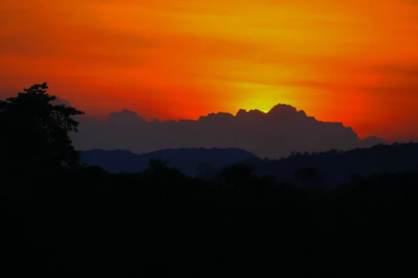 Ηλιοβασίλεμα στο sky όμορφο πολύχρωμο τοπίο και σιλουέτα του δέντρου — Φωτογραφία Αρχείου