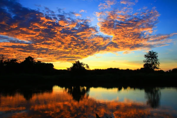 Pôr do sol no céu bela paisagem colorida silhueta árvore — Fotografia de Stock