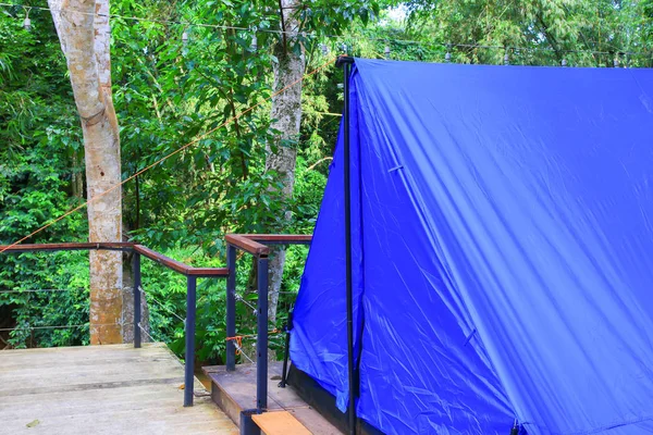 Tutup tenda akomodasi biru berkemah santai di hutan — Stok Foto