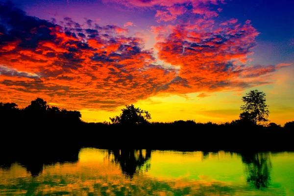 Pôr do sol bela paisagem colorida e árvore silhueta — Fotografia de Stock