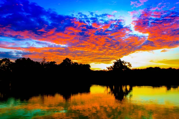 Ağaç güzel günbatımı manzara renkli siluet — Stok fotoğraf