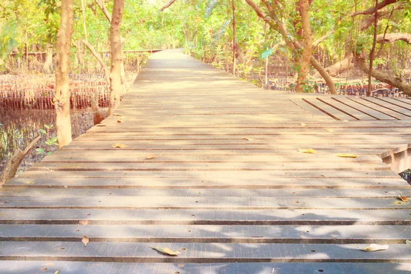 Ponte de madeira passarela no ambiente natural da floresta de mangue — Fotografia de Stock