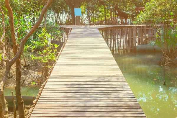 Ponte de madeira passarela no ambiente natural da floresta de mangue — Fotografia de Stock