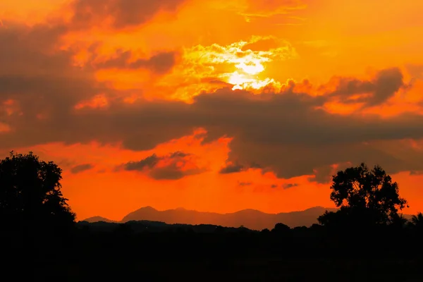 Silhouette drzewo zachód słońca czas w piękne niebo czas Zmierzch — Zdjęcie stockowe