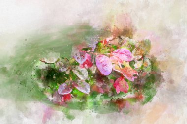 Suluboya mor desen illüstrasyon sanat tasarım arka plan vintage tarzı bırakır