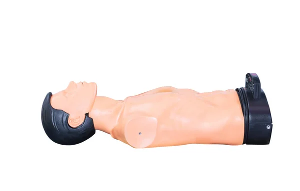 dummy for CPR medical training to assist isolated on white background