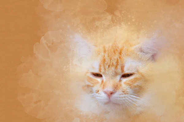 Cat smear Stok Foto, Cat smear Gambar Bebas Royalti Depositphotos®