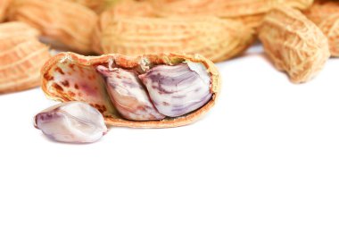 fıstık grup. Beyaz arka plan üzerinde fındık yakın çekim 