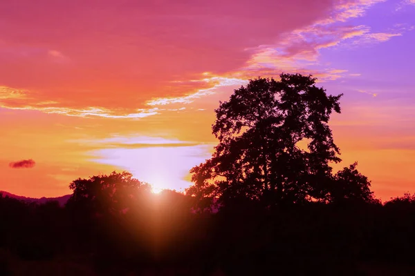 Solnedgång vackra färgglada landskap i Sky Evening — Stockfoto