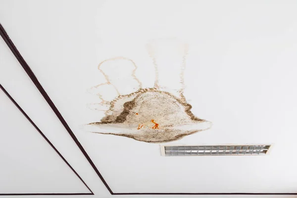 Schimmel in plafond interieur gebouw — Stockfoto