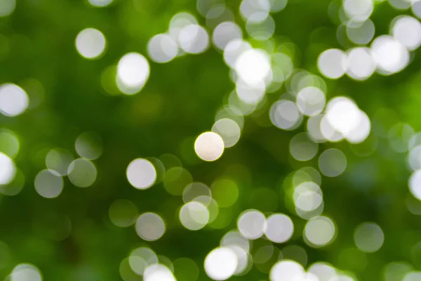 녹색 보케 내추럴 컬러 추상적 인 배경 따뜻한 잎 — 스톡 사진