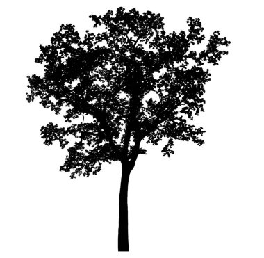 beyaz arka plan üzerinde izole güzel ağaç siluetleri