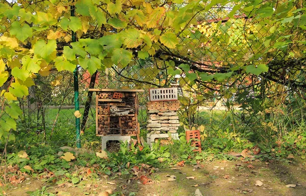 Insect Hotel Small Invertebrates Garden Next Fence Grapevine Plant Autumn — Stock Photo, Image