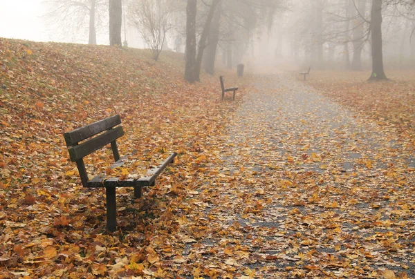 Bänke Und Viele Herabgefallene Gelbe Blätter Park Einem Melancholischen Nebeltag — Stockfoto