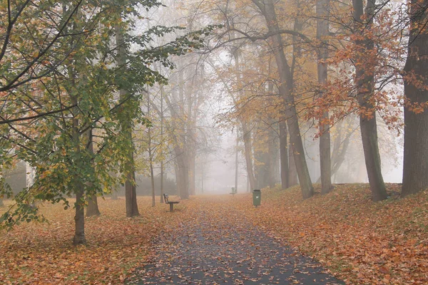 Меланхоличная Фотография Парка Туманный Осенний День — стоковое фото