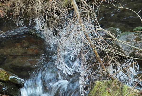 Fagyasztott Ágak Jégcsapok Fölött Víz Télen — Stock Fotó