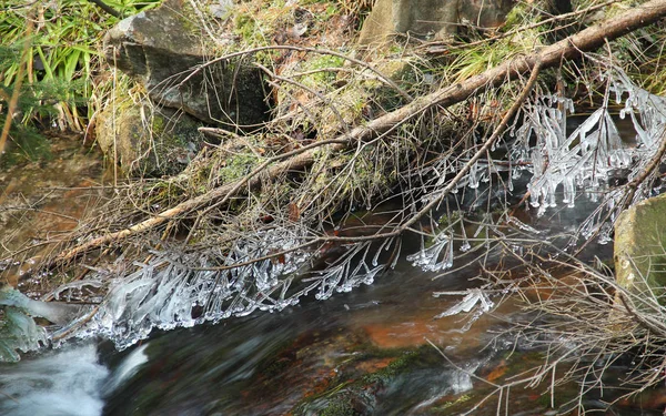Rami Congelati Con Ghiaccioli Sopra Acqua Inverno — Foto Stock