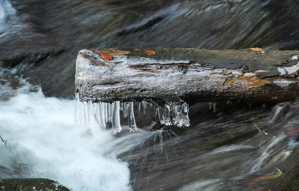 Tronco Congelato Albero Con Ghiaccioli Sopra Acqua Inverno — Foto Stock