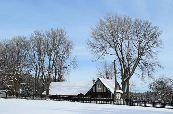 Old Beautiful Wooden Cottage Some Bare Trees Winter Grun Beskydy — Stock Photo, Image