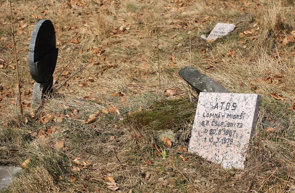 Alcune Lapidi Sul Cimitero Cani Caccia Sulla Collina Zdar Montagne — Foto Stock